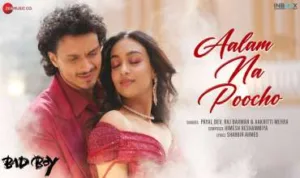 Aalam Na Poocho-lyrics-in-hindi