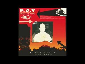 (P.O.V ) Point Of View lyrics in hindi